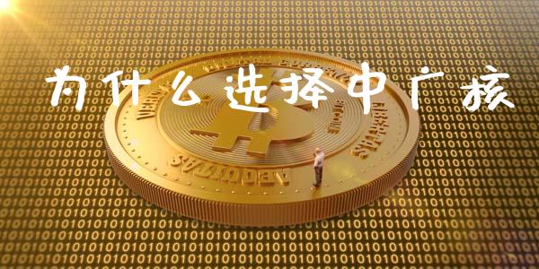 为什么选择中广核_https://m.gongyisiwang.com_理财产品_第1张