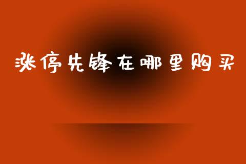 涨停先锋在哪里购买_https://m.gongyisiwang.com_信托投资_第1张