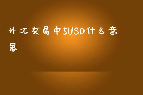 外汇交易中5USD什么意思_https://m.gongyisiwang.com_商业资讯_第1张