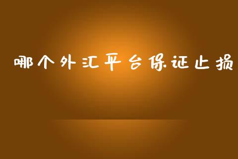 哪个外汇平台保证止损_https://m.gongyisiwang.com_信托投资_第1张