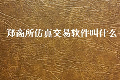 郑商所仿真交易软件叫什么_https://m.gongyisiwang.com_财经咨询_第1张
