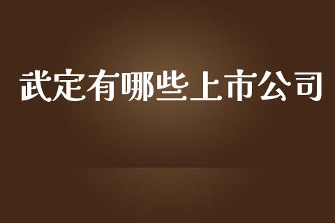 武定有哪些上市公司_https://m.gongyisiwang.com_商业资讯_第1张