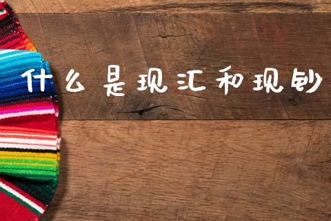 什么是现汇和现钞_https://m.gongyisiwang.com_财经咨询_第1张