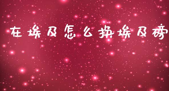 在埃及怎么换埃及磅_https://m.gongyisiwang.com_债券咨询_第1张