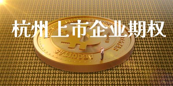 杭州上市企业期权_https://m.gongyisiwang.com_债券咨询_第1张