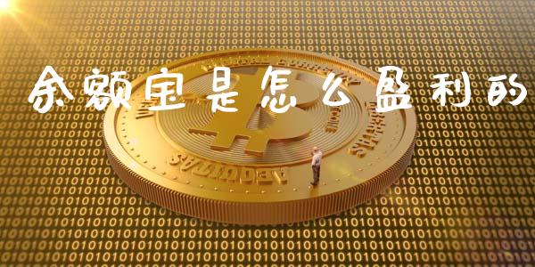 余额宝是怎么盈利的_https://m.gongyisiwang.com_保险理财_第1张