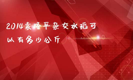 2014袁隆平杂交水稻可以有多少公斤_https://m.gongyisiwang.com_债券咨询_第1张