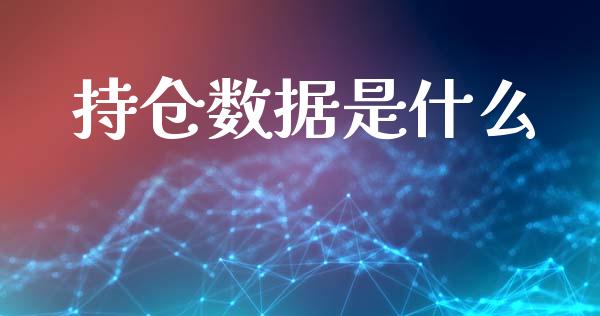 持仓数据是什么_https://m.gongyisiwang.com_财经咨询_第1张