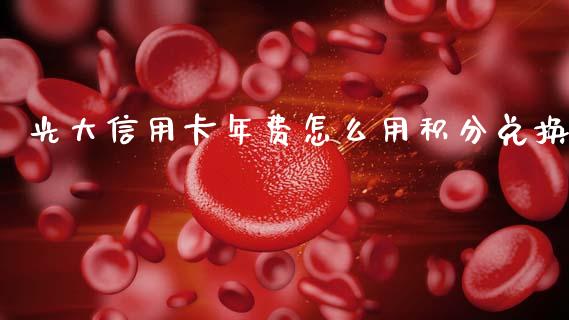 光大信用卡年费怎么用积分兑换_https://m.gongyisiwang.com_财经咨询_第1张