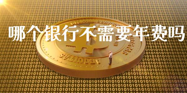 哪个银行不需要年费吗_https://m.gongyisiwang.com_财经时评_第1张