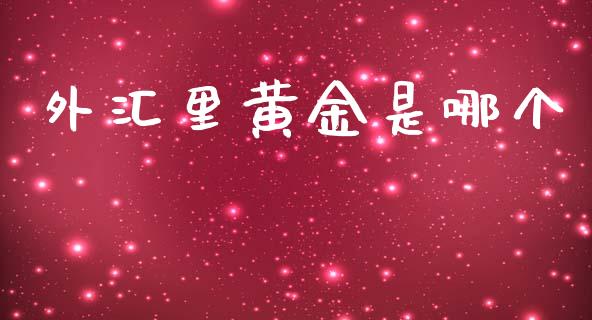 外汇里黄金是哪个_https://m.gongyisiwang.com_信托投资_第1张