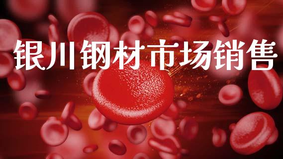银川钢材市场销售_https://m.gongyisiwang.com_理财投资_第1张