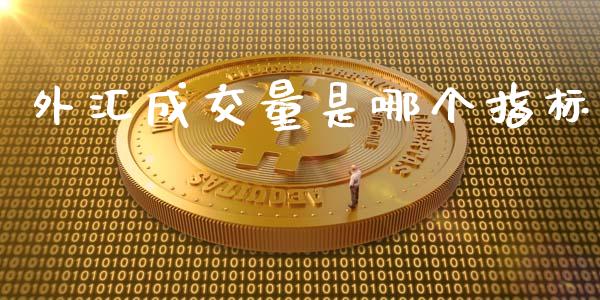 外汇成交量是哪个指标_https://m.gongyisiwang.com_财经时评_第1张