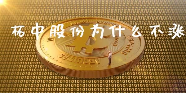 柘中股份为什么不涨_https://m.gongyisiwang.com_财经时评_第1张