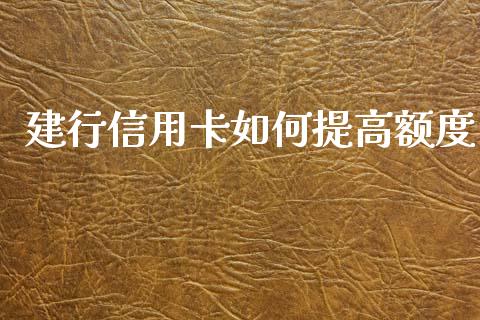 建行信用卡如何提高额度_https://m.gongyisiwang.com_财经时评_第1张