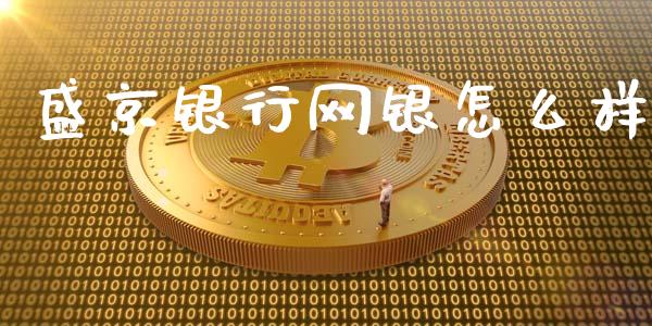 盛京银行网银怎么样_https://m.gongyisiwang.com_债券咨询_第1张