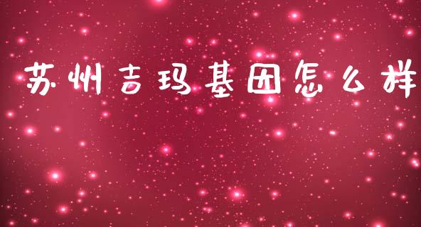 苏州吉玛基因怎么样_https://m.gongyisiwang.com_债券咨询_第1张