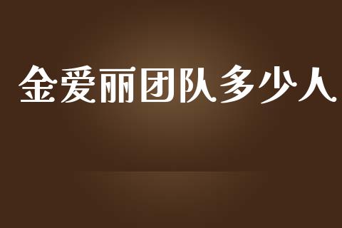 金爱丽团队多少人_https://m.gongyisiwang.com_理财产品_第1张