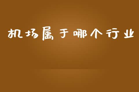 机场属于哪个行业_https://m.gongyisiwang.com_债券咨询_第1张