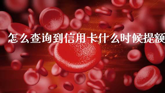 怎么查询到信用卡什么时候提额_https://m.gongyisiwang.com_财经时评_第1张