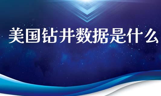 美国钻井数据是什么_https://m.gongyisiwang.com_财经咨询_第1张