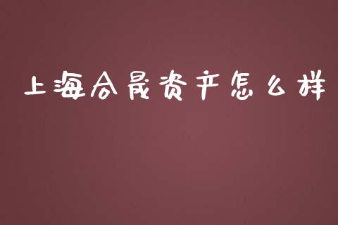 上海合晟资产怎么样_https://m.gongyisiwang.com_理财投资_第1张