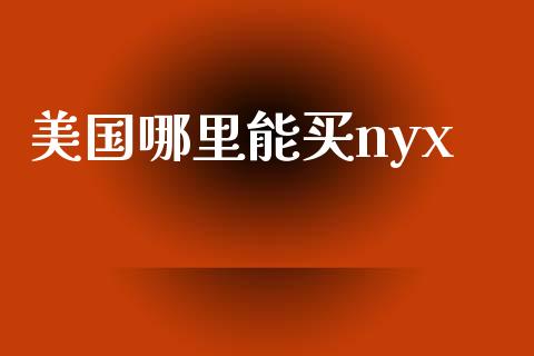 美国哪里能买nyx_https://m.gongyisiwang.com_信托投资_第1张