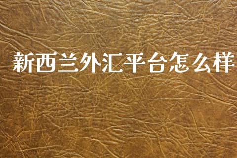 新西兰外汇平台怎么样_https://m.gongyisiwang.com_理财投资_第1张