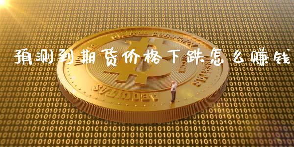 预测到期货价格下跌怎么赚钱_https://m.gongyisiwang.com_理财产品_第1张