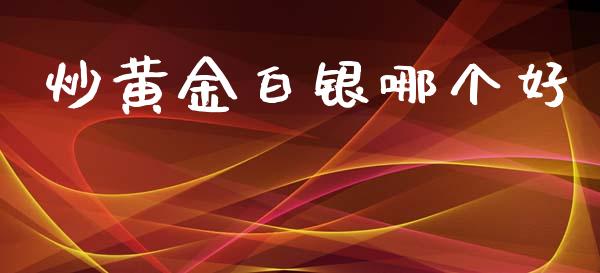 炒黄金白银哪个好_https://m.gongyisiwang.com_保险理财_第1张