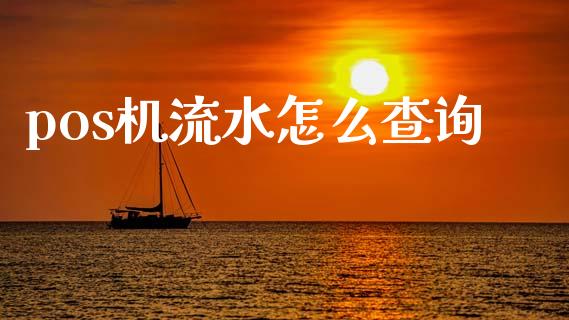 pos机流水怎么查询_https://m.gongyisiwang.com_财经咨询_第1张