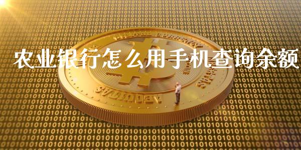 农业银行怎么用手机查询余额_https://m.gongyisiwang.com_财经咨询_第1张