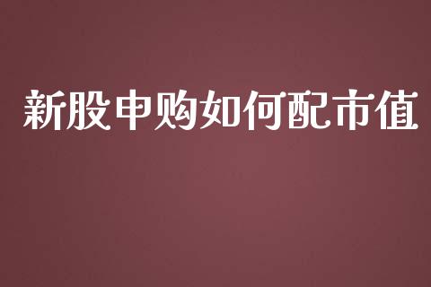 新股申购如何配市值_https://m.gongyisiwang.com_债券咨询_第1张