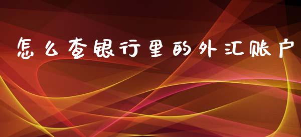 怎么查银行里的外汇账户_https://m.gongyisiwang.com_保险理财_第1张