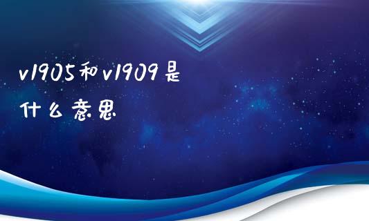 v1905和v1909是什么意思_https://m.gongyisiwang.com_理财产品_第1张