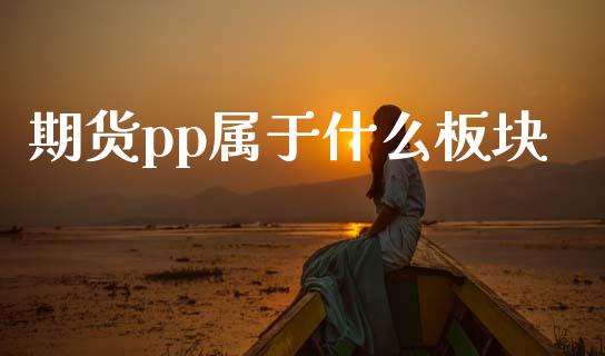 期货pp属于什么板块_https://m.gongyisiwang.com_财经时评_第1张