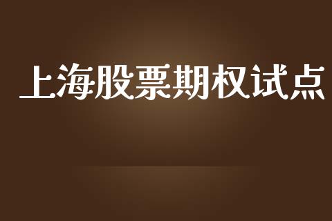 上海股票期权试点_https://m.gongyisiwang.com_债券咨询_第1张