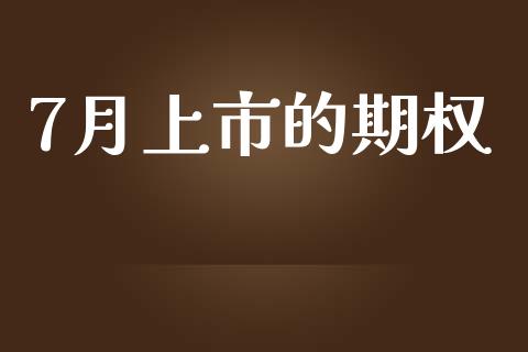 7月上市的期权_https://m.gongyisiwang.com_商业资讯_第1张