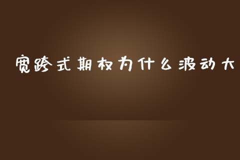 宽跨式期权为什么波动大_https://m.gongyisiwang.com_保险理财_第1张