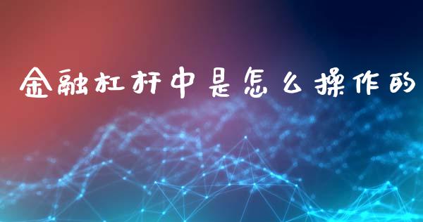 金融杠杆中是怎么操作的_https://m.gongyisiwang.com_理财投资_第1张