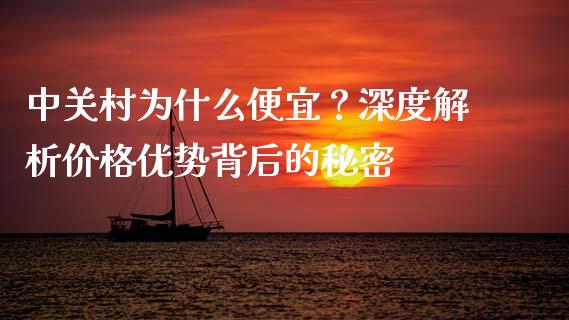 中关村为什么便宜？深度解析价格优势背后的秘密_https://m.gongyisiwang.com_财经时评_第1张