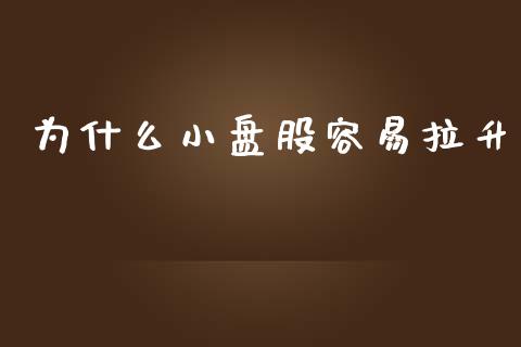 为什么小盘股容易拉升_https://m.gongyisiwang.com_商业资讯_第1张