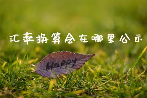 汇率换算会在哪里公示_https://m.gongyisiwang.com_商业资讯_第1张