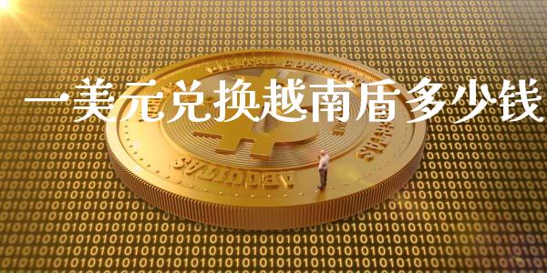 一美元兑换越南盾多少钱_https://m.gongyisiwang.com_债券咨询_第1张