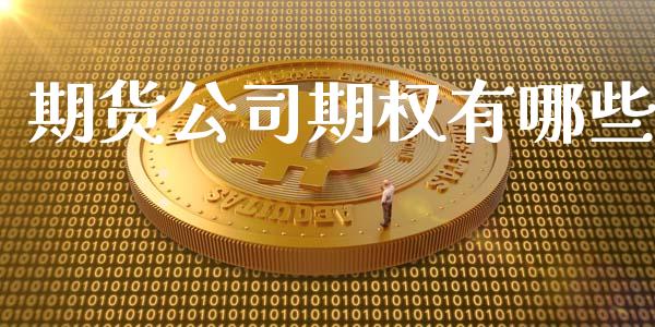 期货公司期权有哪些_https://m.gongyisiwang.com_理财产品_第1张