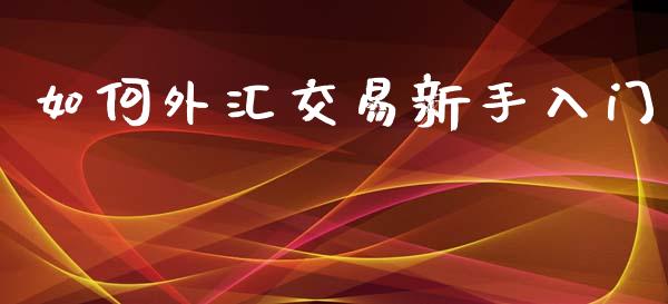 如何外汇交易新手入门_https://m.gongyisiwang.com_信托投资_第1张