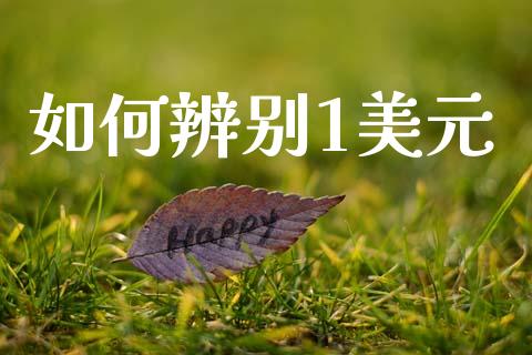 如何辨别1美元_https://m.gongyisiwang.com_商业资讯_第1张