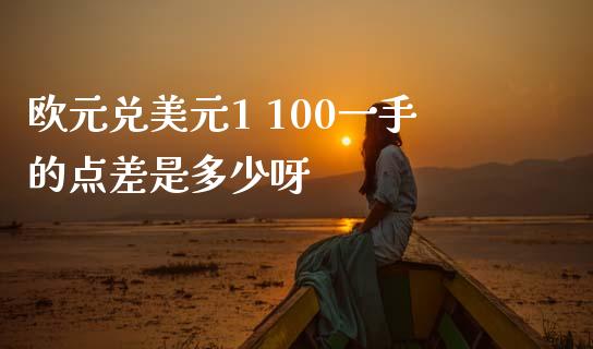 欧元兑美元1 100一手的点差是多少呀_https://m.gongyisiwang.com_理财投资_第1张