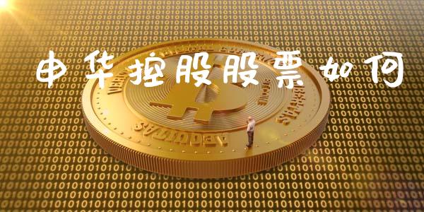 申华控股股票如何_https://m.gongyisiwang.com_理财投资_第1张