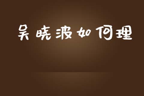 吴晓波如何理_https://m.gongyisiwang.com_商业资讯_第1张